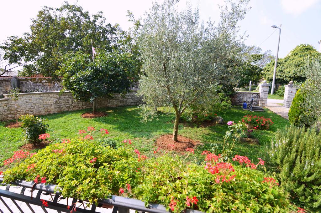 Garden Apartment Maria Vrsar Bagian luar foto